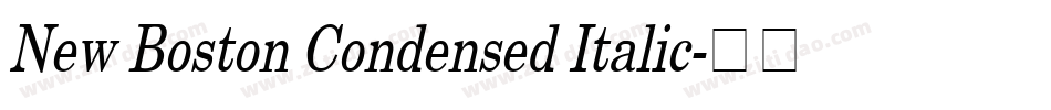 New Boston Condensed Italic字体转换